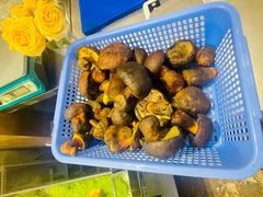 -菌自由丨野生菌火锅特色庭院餐厅(丽江古城店)