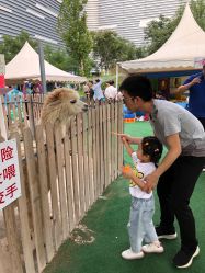 -萌宠亲子动物乐园(槐房万达店)