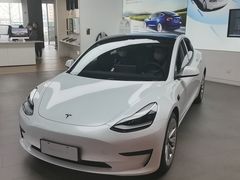 -TESLA 特斯拉(郑州正弘城体验店)