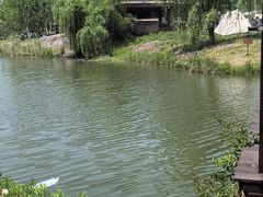 -南湖湿地公园