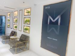 -MIVI野生眉纹绣纹眉