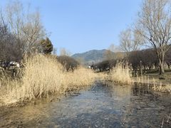 -石塘人家