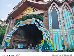 -西双版纳原始森林公园