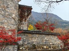 -塔川景区