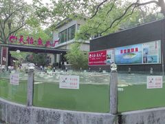 -天怡·鱼工厂(梅溪湖店)