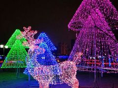 -雁滩公园