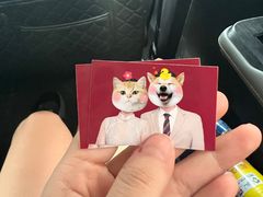 -iF摄影•全家福•证件照•形象照(南山店)