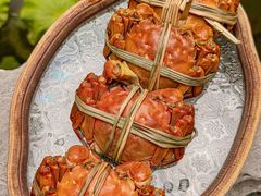 -蟹村草堂·苏式园林人文农家·大闸蟹