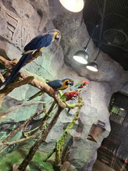 -Zoolung Zoolung动物主题公园(海信广场店)