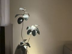 -木兰逸•泰式按摩•头疗•SPA(车公庙店)