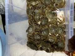 -青石桥市场北1-27号