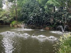 -共青国家森林公园-售票处