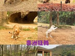 -杭州野生动物世界