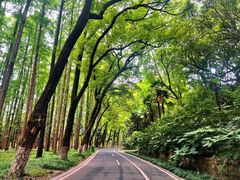 -采石矶景区