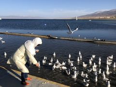 -青海湖国家重点风景名胜区