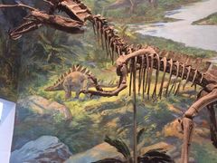 -自贡恐龙博物馆