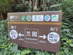 -野象谷景区