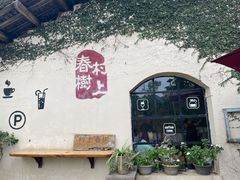-村上春树
