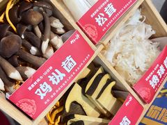 -生活如沸·顺德水牛奶火锅(大学路店)