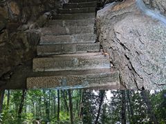 -鲁山国家森林公园