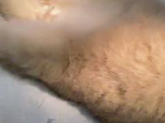 -艾贝尔宠物诊疗