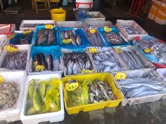 -芦潮港集贸市场