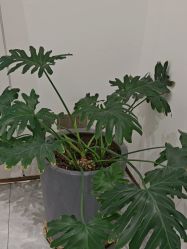 -奥本瑜伽·普拉提