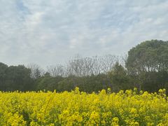 -广富林郊野公园