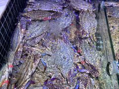 -开海·红岛海鲜虾水饺(石老人店)