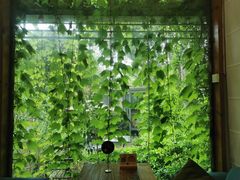 -谷咖啡·鲜花绿植花园餐厅