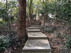 -上海佘山国家森林公园天马山园