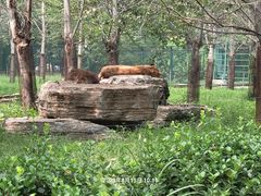 -秦皇岛野生动物园