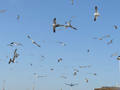 -龙爪山国家地质公园