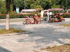 主入口租车点-南湖湿地公园