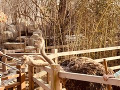 -北京野生动物园