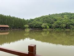 -采石矶景区
