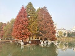 -白塘生态植物园