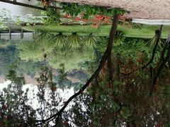 android_upload_pic-厦门悦华酒店