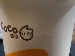 -CoCo都可(方庄店)