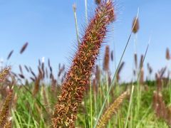 -汉长安城未央宫国家考古遗址公园