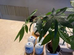 -浅深Cheersum(曹杨店)