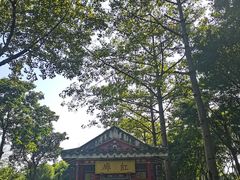 -顺峰山公园