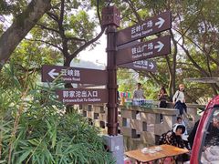 -铁山坪森林公园