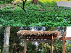 -鼓岭旅游度假区