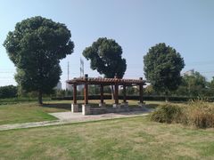 -九里河湿地公园
