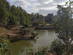 -泉州海丝野生动物世界