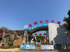 -光明农场大观园