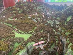 -武陵山森林公园