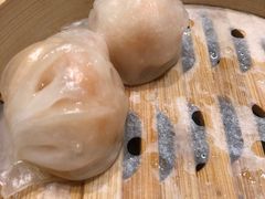 -丽景酒楼·佛山老字号(广佛智城店)