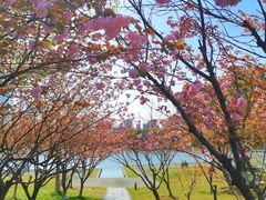 -白塘生态植物园
